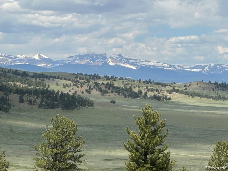 896 Guipago Trl, Hartsel, CO 80449