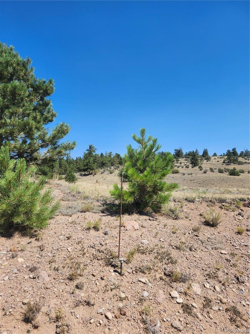 64 Bandana Rd, Hartsel, CO 80449