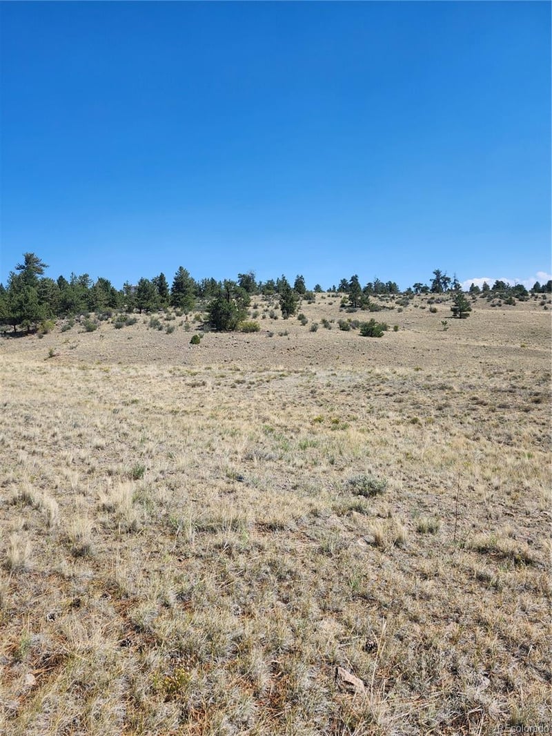 64 Bandana Rd, Hartsel, CO 80449