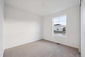 928 Steppe Ln, Windsor, CO 80550