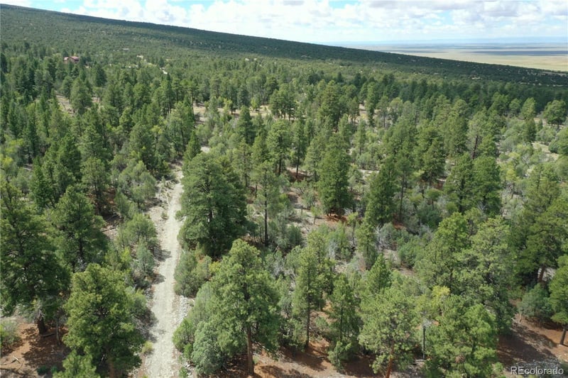 Big Bear Rd, Mosca, CO 81146