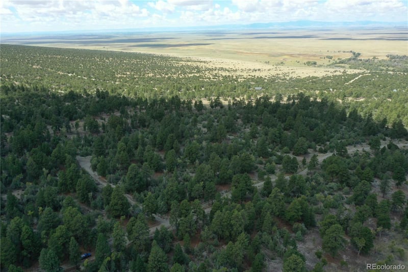 Big Bear Rd, Mosca, CO 81146