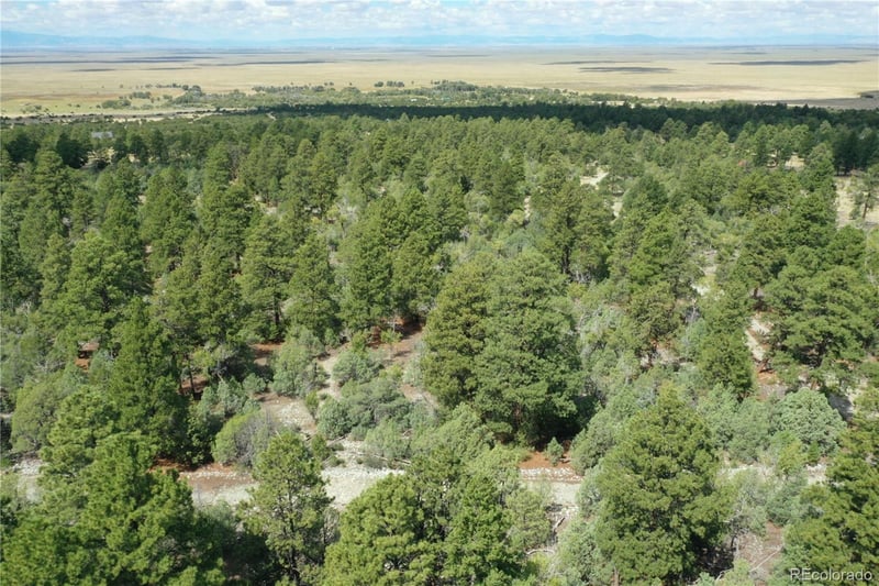 Big Bear Rd, Mosca, CO 81146