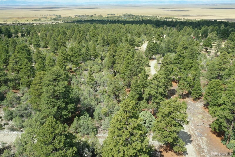 Big Bear Rd, Mosca, CO 81146