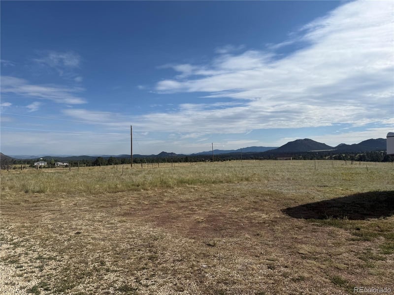 79 Fawn St, Westcliffe, CO 81252