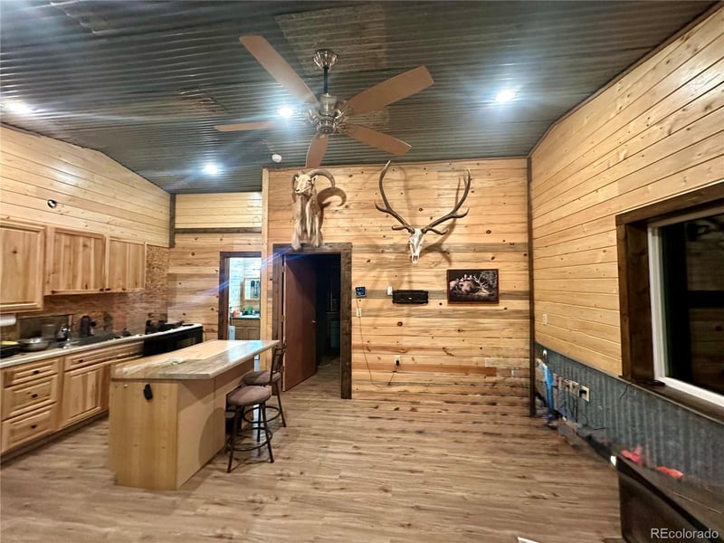 79 Fawn St, Westcliffe, CO 81252