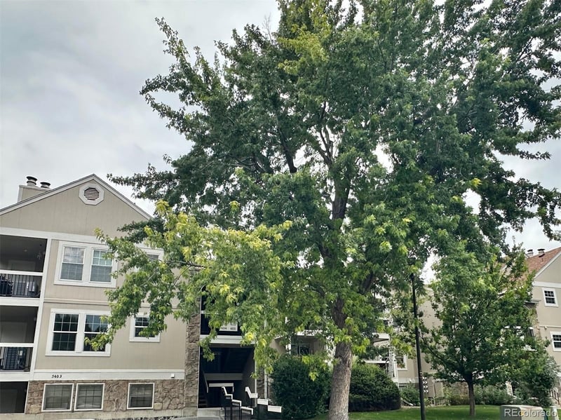 5403 W 76th Ave, Arvada, CO 80003