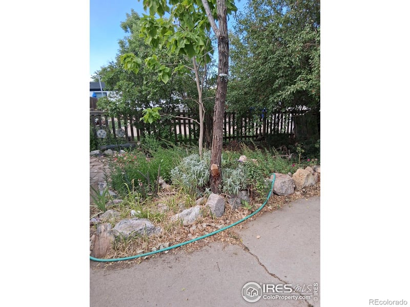 215 Glen Ayre St, Dacono, CO 80514
