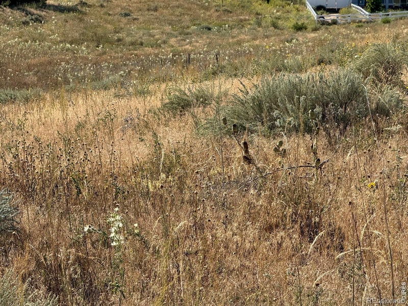 16487 Essex Rd, Platteville, CO 80651