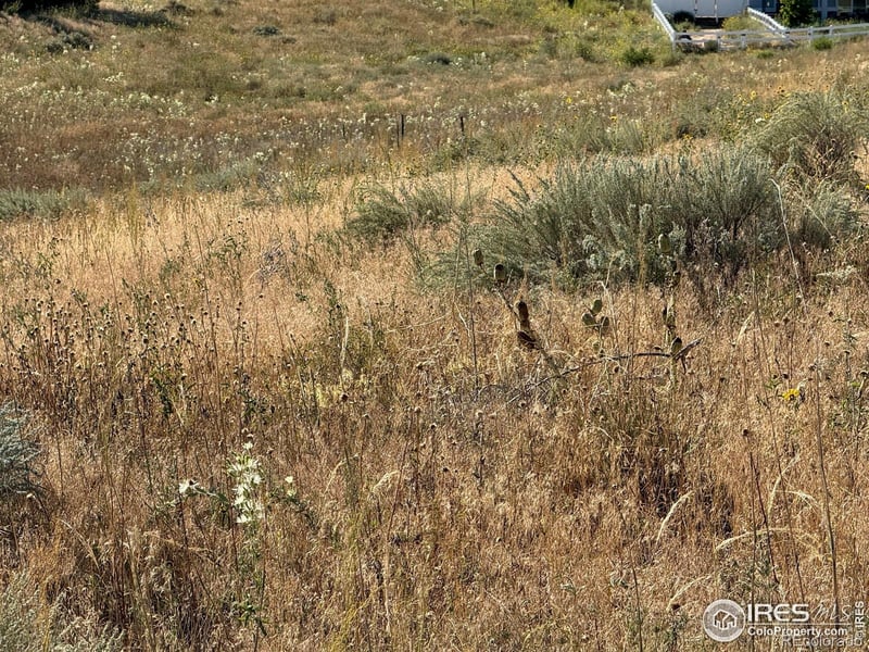 16487 Essex Rd, Platteville, CO 80651