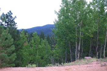 490 Grosbeak Cir, Divide, CO 80814