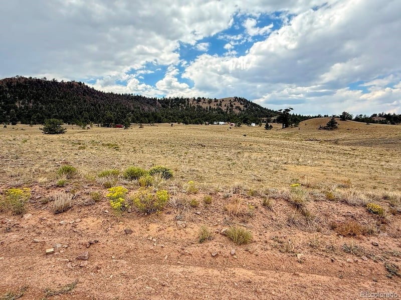 Cherokee Trl, Hartsel, CO 80449