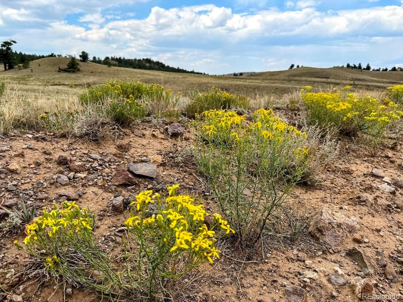 Cherokee Trl, Hartsel, CO 80449