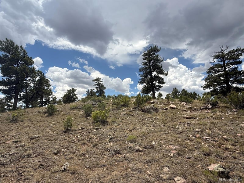 Hohokan Trl, Hartsel, CO 80449