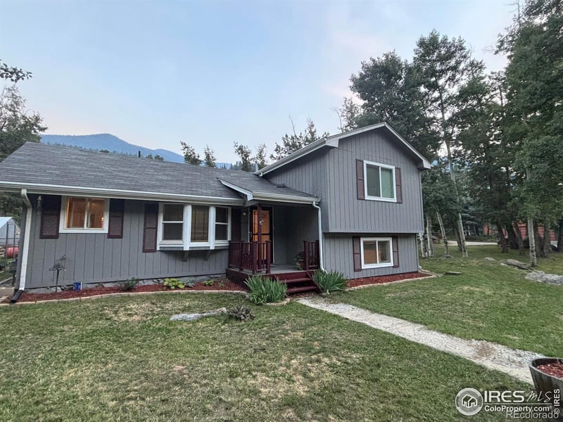 116 Silver Lakes Dr, Dumont, CO 80436