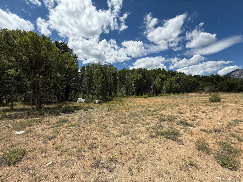 17566 Trout Cir, Buena Vista, CO 81211