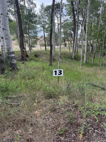 17566 Trout Cir, Buena Vista, CO 81211