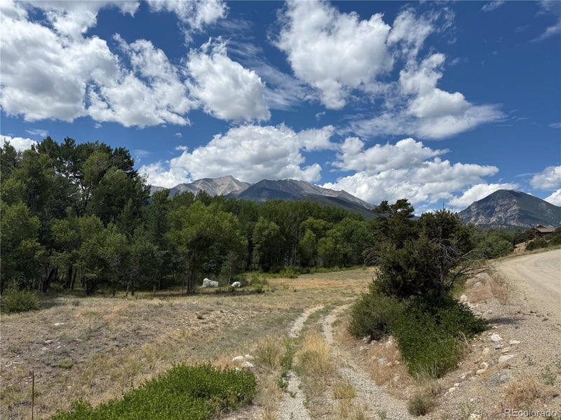 17566 Trout Cir, Buena Vista, CO 81211