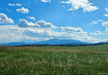 LOT D Hodgen Rd, Colorado Springs, CO 80908