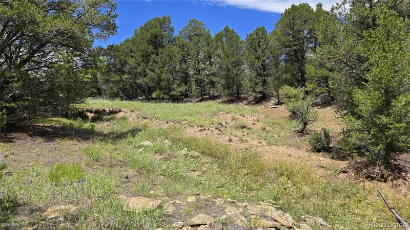 20 Colorado Mountain Lake Est, Trinidad, CO 81082