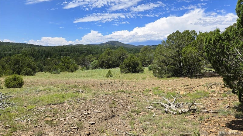 20 Colorado Mountain Lake Est, Trinidad, CO 81082