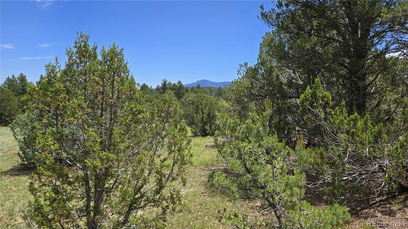 20 Colorado Mountain Lake Est, Trinidad, CO 81082