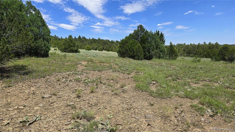 20 Colorado Mountain Lake Est, Trinidad, CO 81082