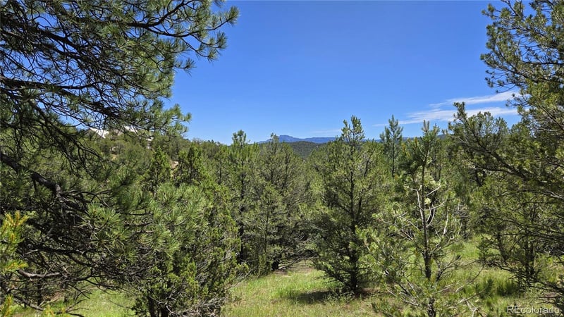 20 Colorado Mountain Lake Est, Trinidad, CO 81082