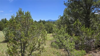 20 Colorado Mountain Lake Est, Trinidad, CO 81082