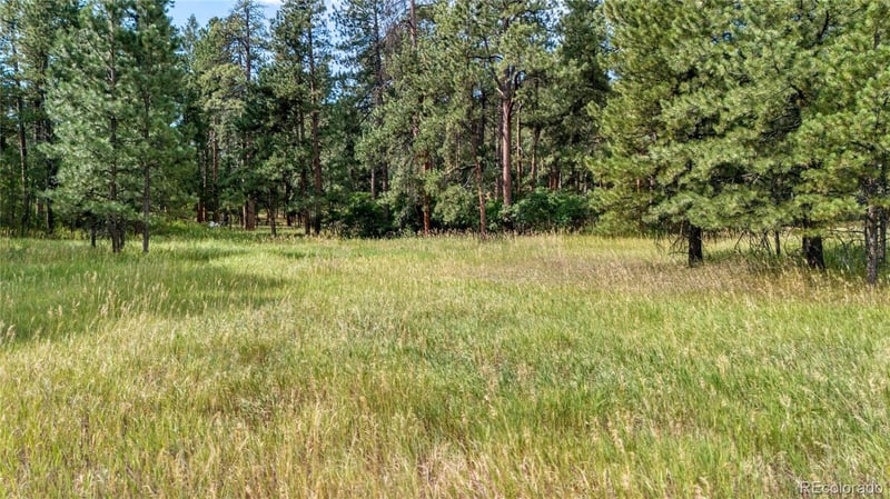 5028 Crow Dr Lot 2, Larkspur, CO 80118