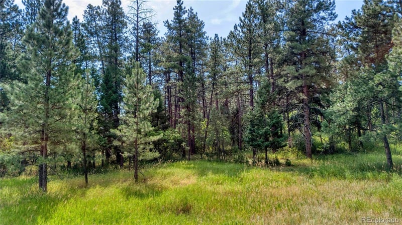 5028 Crow Dr Lot 2, Larkspur, CO 80118