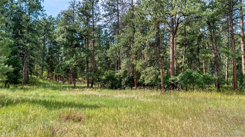5028 Crow Dr Lot 2, Larkspur, CO 80118