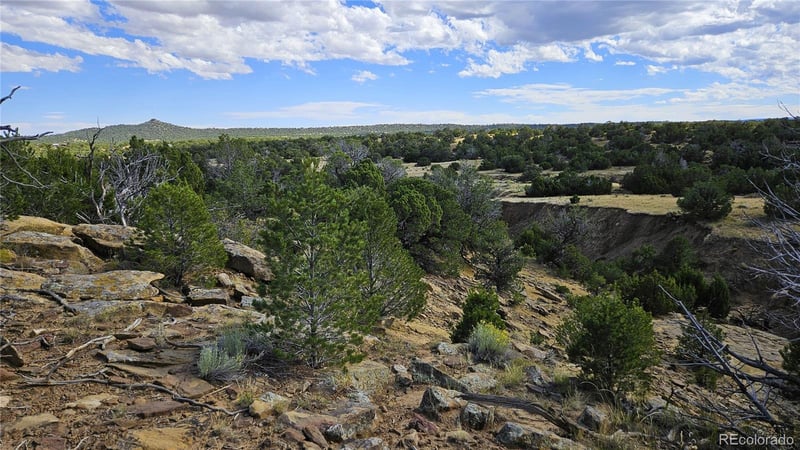 776 Rio Cucharas, Walsenburg, CO 81089