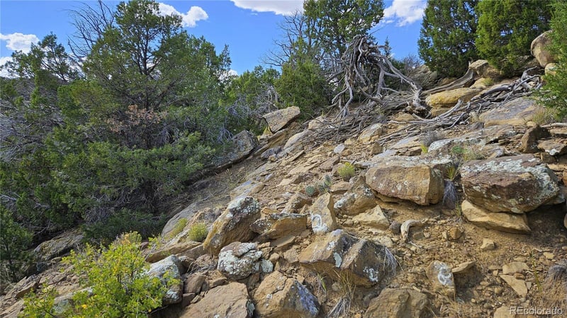 776 Rio Cucharas, Walsenburg, CO 81089