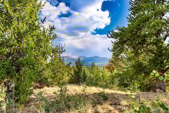 210 Pine Ridge Rd, Fairplay, CO 80440