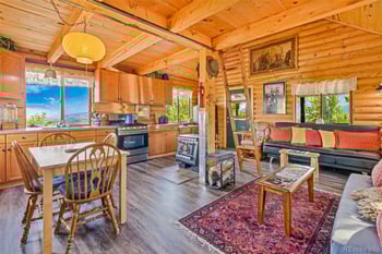 210 Pine Ridge Rd, Fairplay, CO 80440