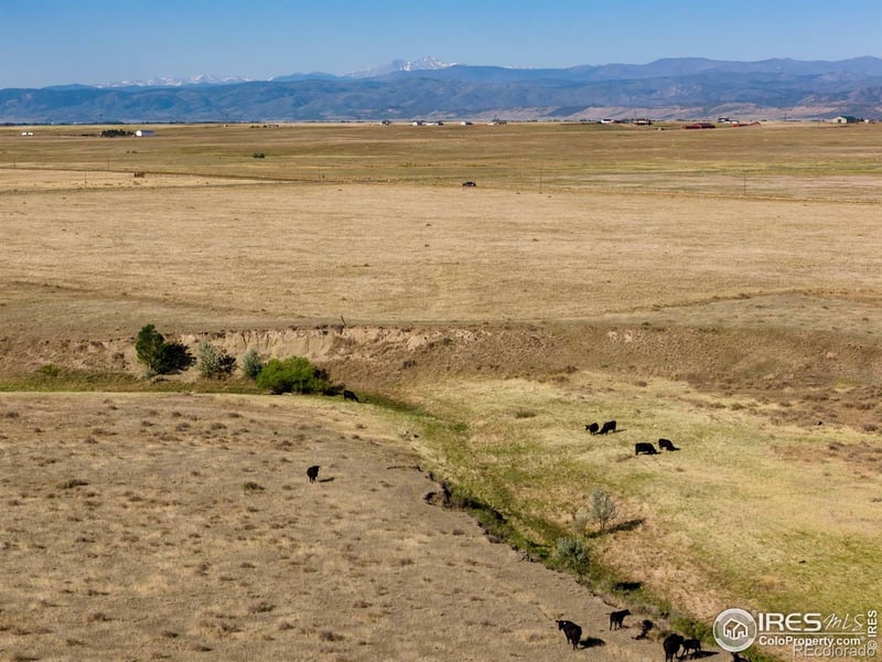 Cr 82 , Wellington, CO 80549