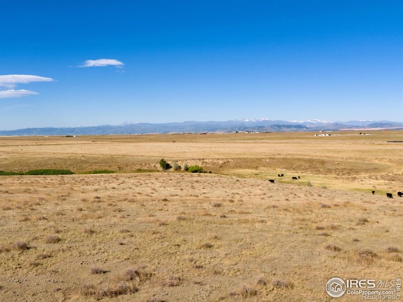 Cr 82 , Wellington, CO 80549