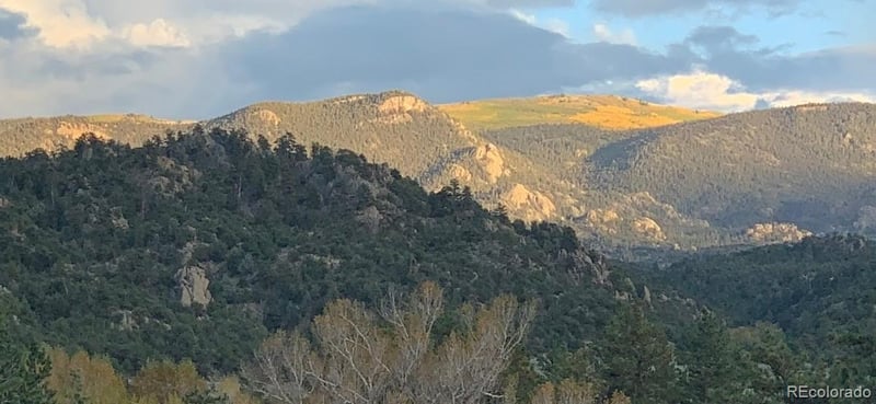 10795 County Road 197a, Nathrop, CO 81236