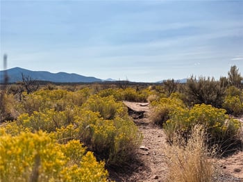 00 Slaughter Rd, Fort Garland, CO 81133