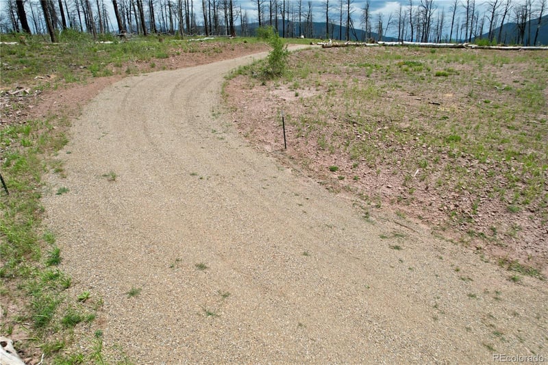 2198 Sigler Dr, Fort Garland, CO 81133