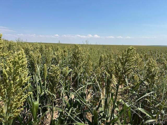 Tbd 96th Ave, Byers, CO 80103