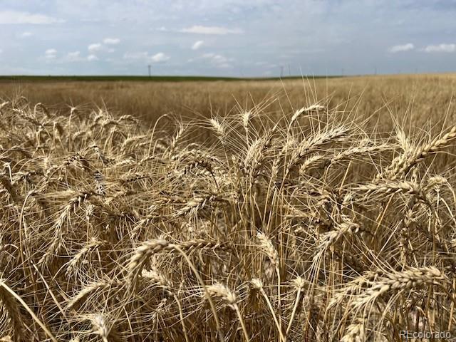 Tbd 96th Ave, Byers, CO 80103