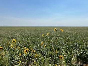 Tbd 96th Ave, Byers, CO 80103