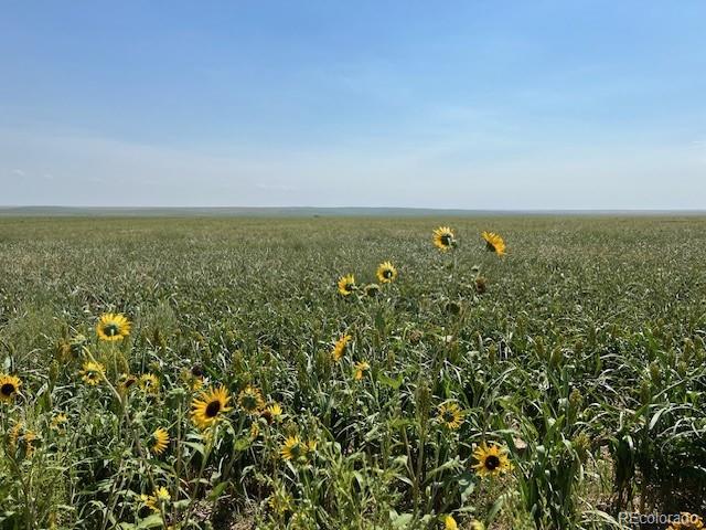 Tbd 96th Ave, Byers, CO 80103