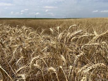 Tbd 96th Ave, Byers, CO 80103