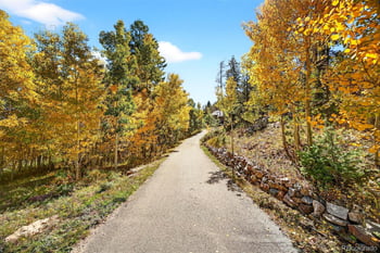 20254 Goins Dr, Morrison, CO 80465