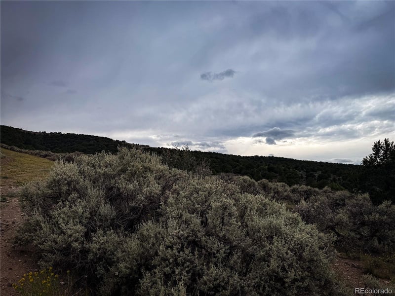 00 Rodriguez Rd, Fort Garland, CO 81133