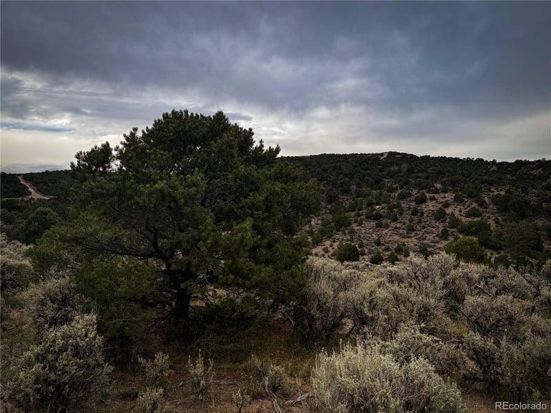00 Rodriguez Rd, Fort Garland, CO 81133