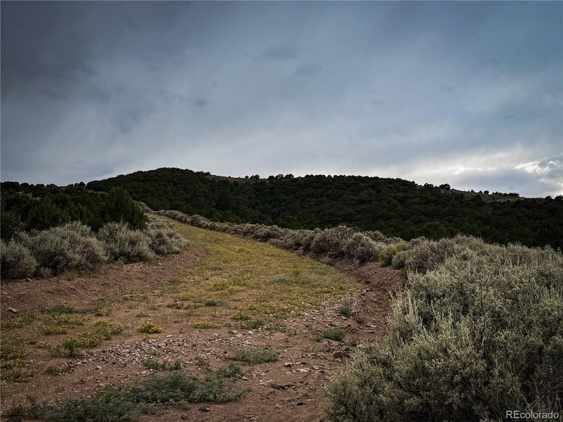 00 Rodriguez Rd, Fort Garland, CO 81133